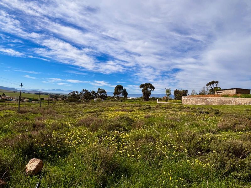 VACANT LAND Plus Borehole, Plus Eectricity, Plus Plans in a beautifull country setting! - Photo 10