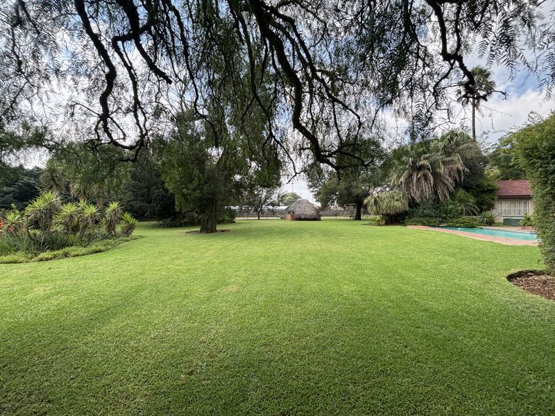 Expansive, well-maintained garden featuring a lush green lawn, mature trees, and a swimming pool area with a traditional thatched lapa.