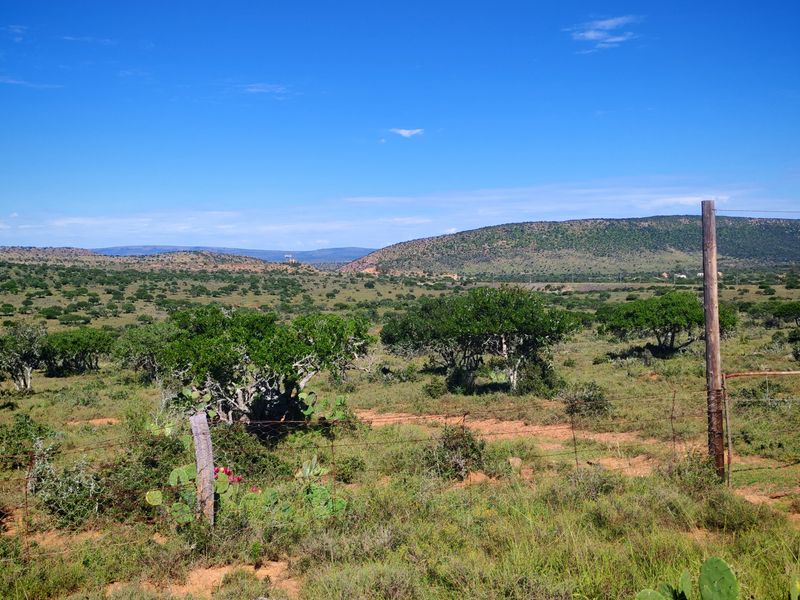 Exceptional Farming Property for Sale – Tweefontein - Photo 5