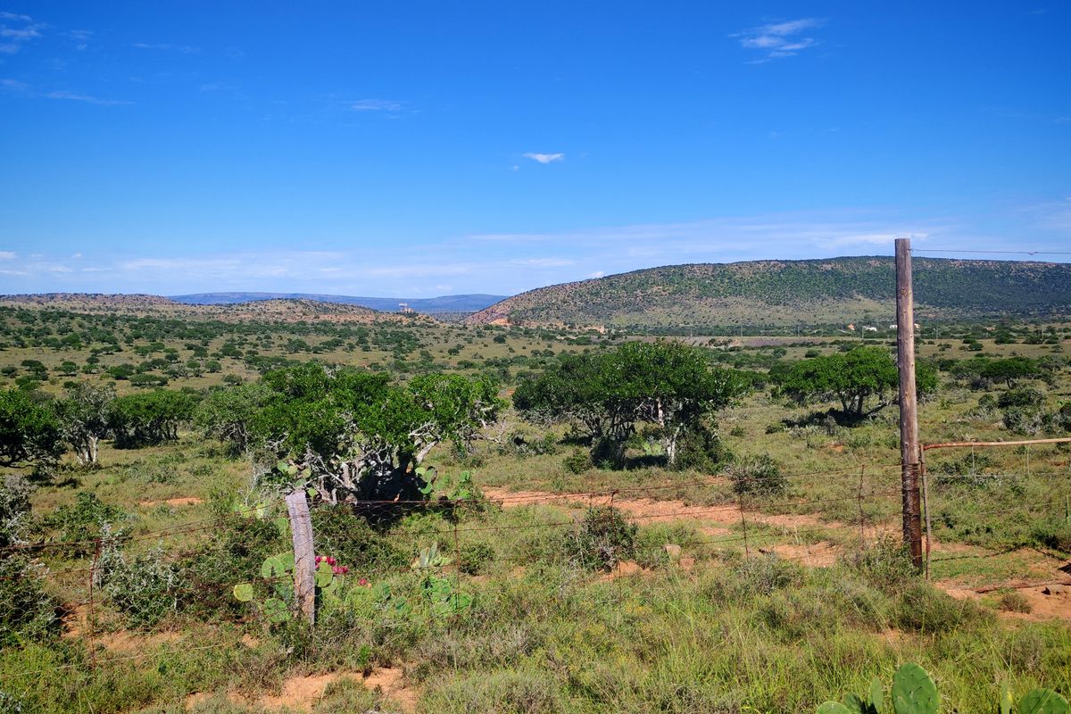 Exceptional Farming Property for Sale – Tweefontein - Photo 5