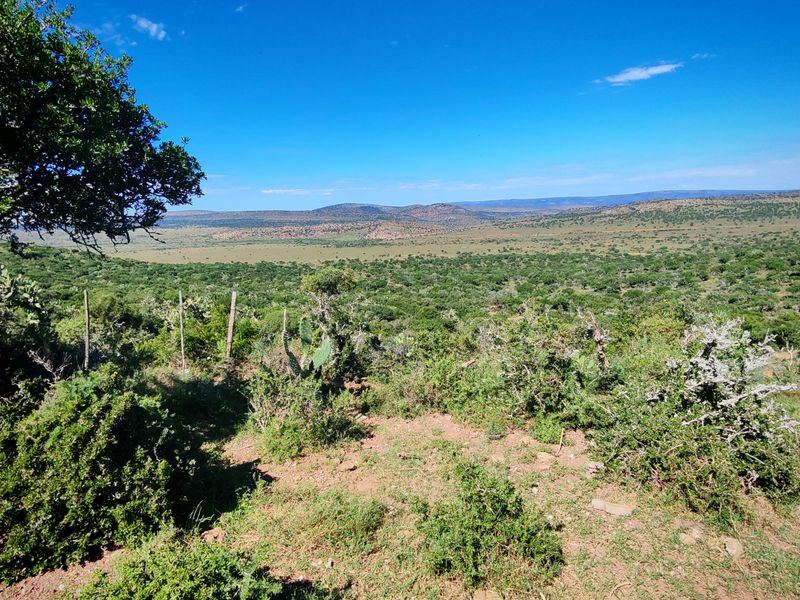 Exceptional Farming Property for Sale – Tweefontein - Photo 10