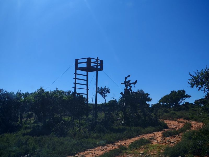 Exceptional Farming Property for Sale – Tweefontein - Photo 9