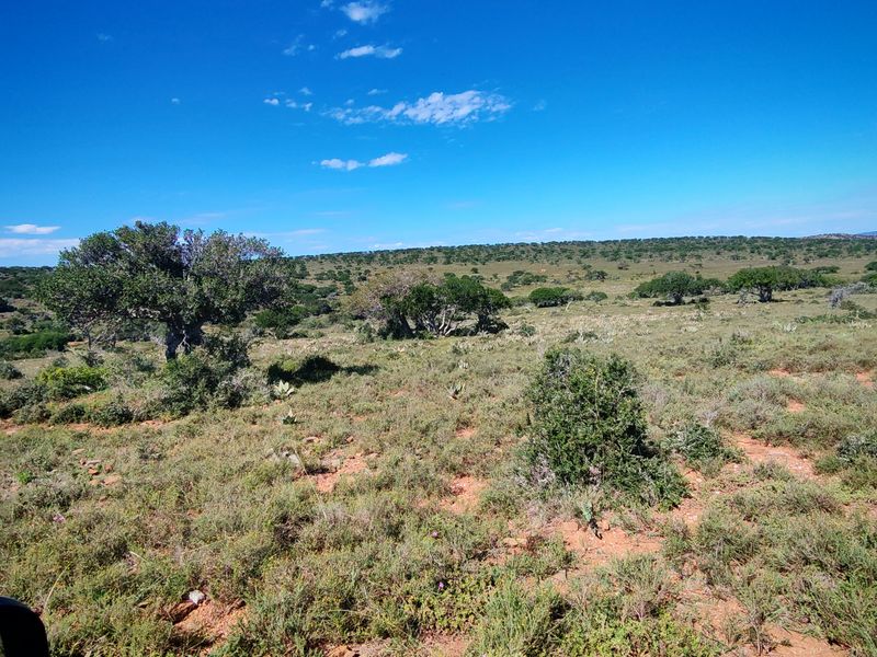 Exceptional Farming Property for Sale – Tweefontein - Photo 6