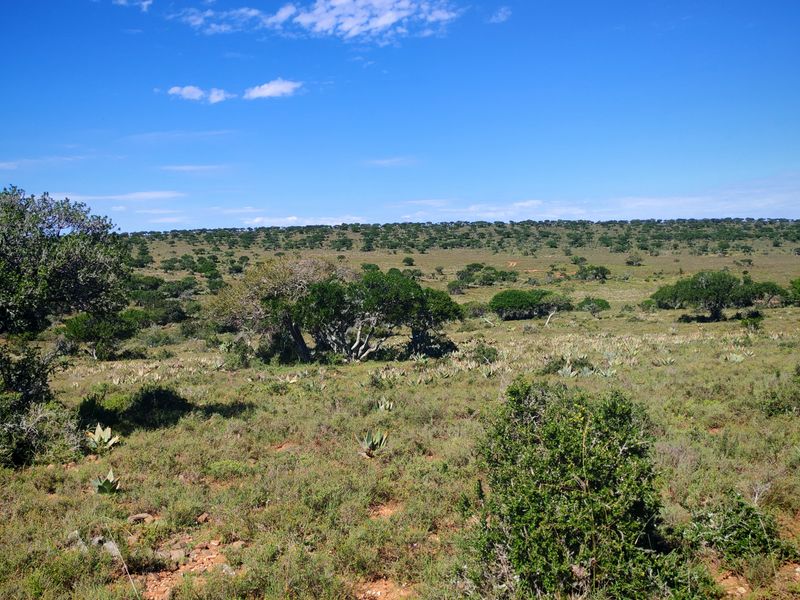 Exceptional Farming Property for Sale – Tweefontein - Photo 8