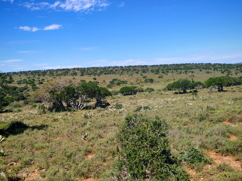 Exceptional Farming Property for Sale – Tweefontein - Photo 7
