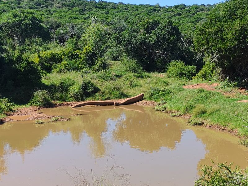 Exceptional Farming Property for Sale – Tweefontein - Photo 2