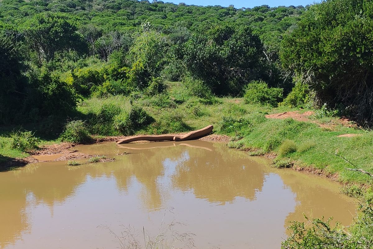 Exceptional Farming Property for Sale – Tweefontein - Photo 2