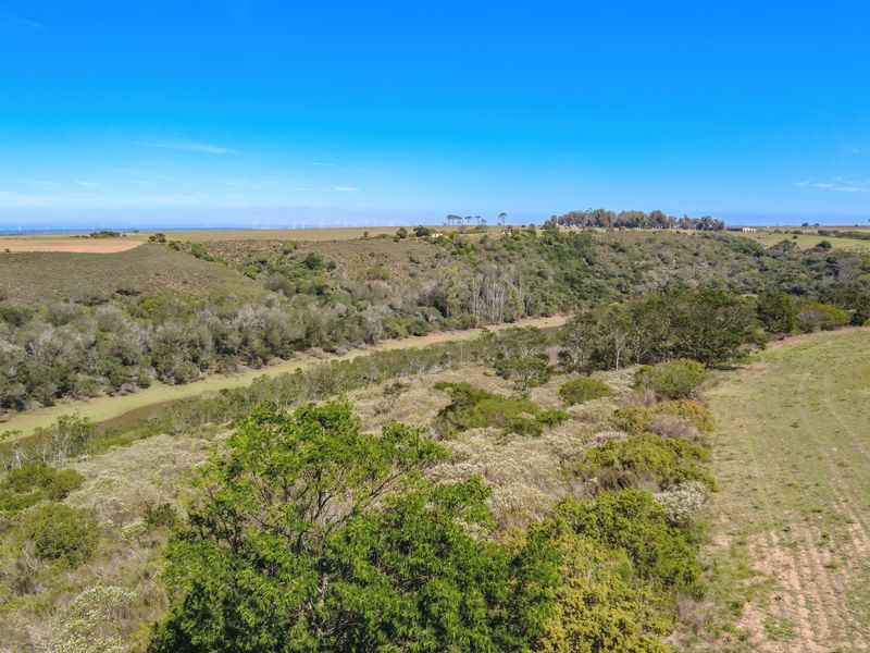 ONSITE AUCTION - Your Perfect Coastal Escape — 47 Ha Hobby Farm in Humansdorp | EC - Photo 2