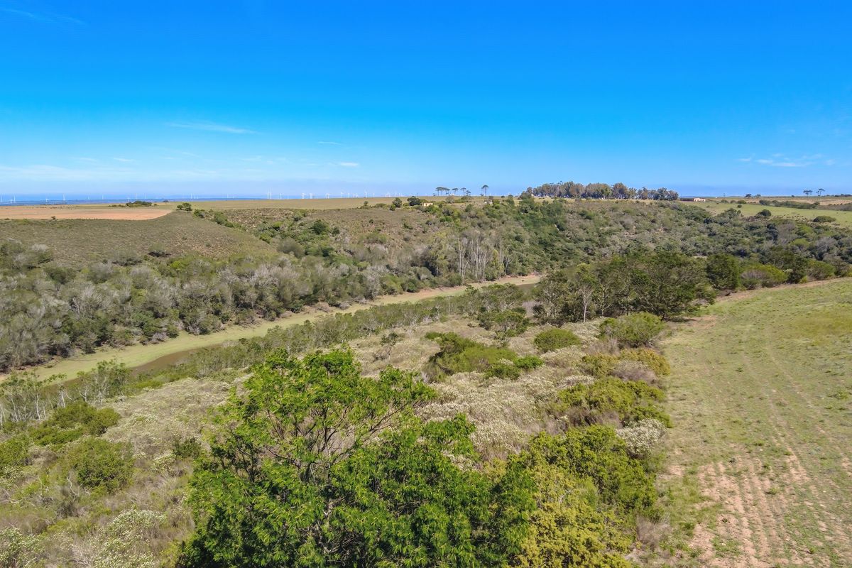 ONSITE AUCTION - Your Perfect Coastal Escape — 47 Ha Hobby Farm in Humansdorp | EC - Photo 2