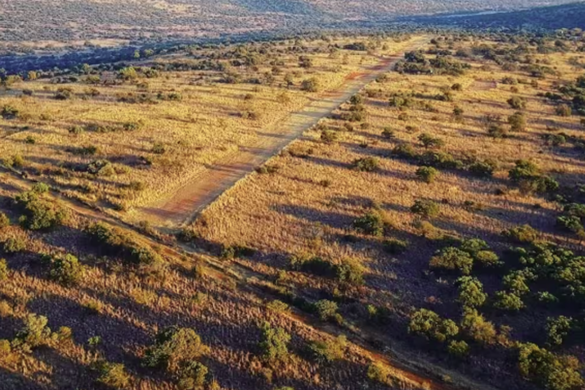 Aerial view of expansive farm land featuring natural vegetation and an unpaved access road stretching across the property.