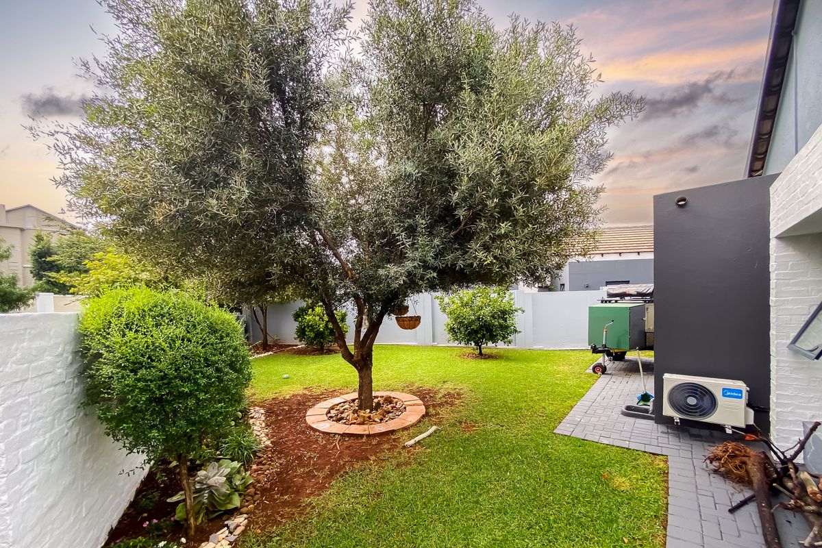 A well-maintained rear garden featuring a mature olive tree, paved walkway, and secure perimeter walling, providing a private outdoor space.