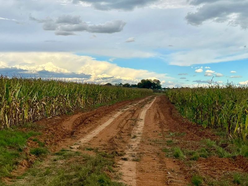 Rustige plaaslewe naby die stad - Photo 2