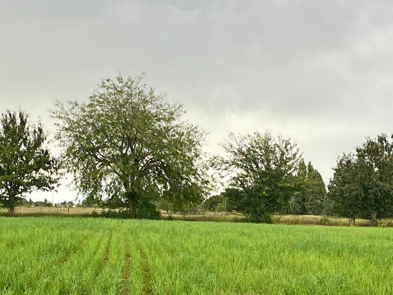 Rustige plaaslewe naby die stad - Photo 6