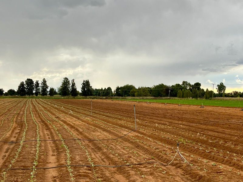 Rustige plaaslewe naby die stad - Photo 10