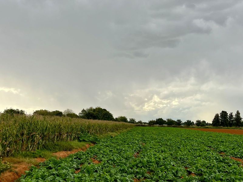 Rustige plaaslewe naby die stad - Photo 9