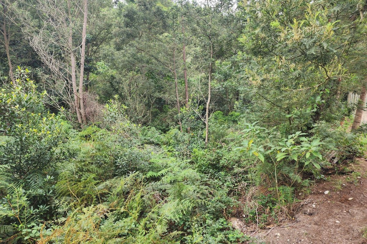 Riverside Haven in Suurbraak – Build Your Dream Retreat - Photo 5