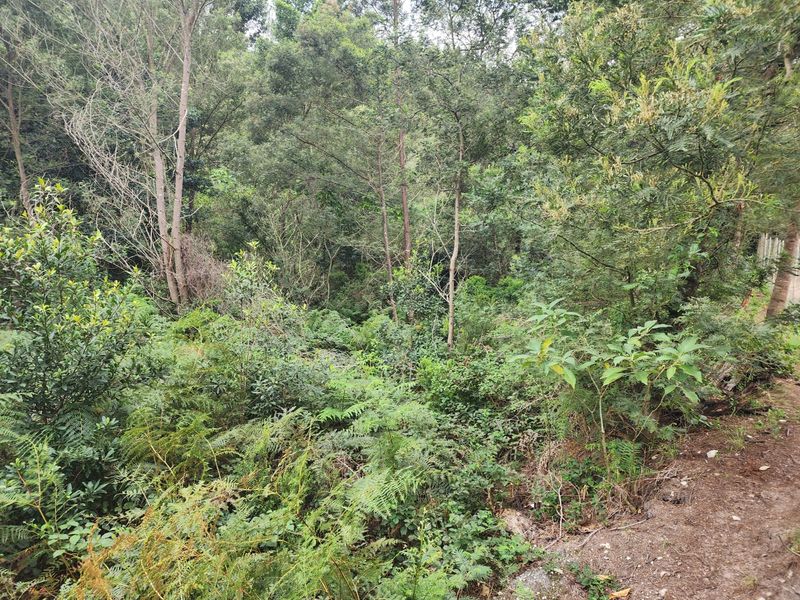 Riverside Haven in Suurbraak – Build Your Dream Retreat - Photo 5