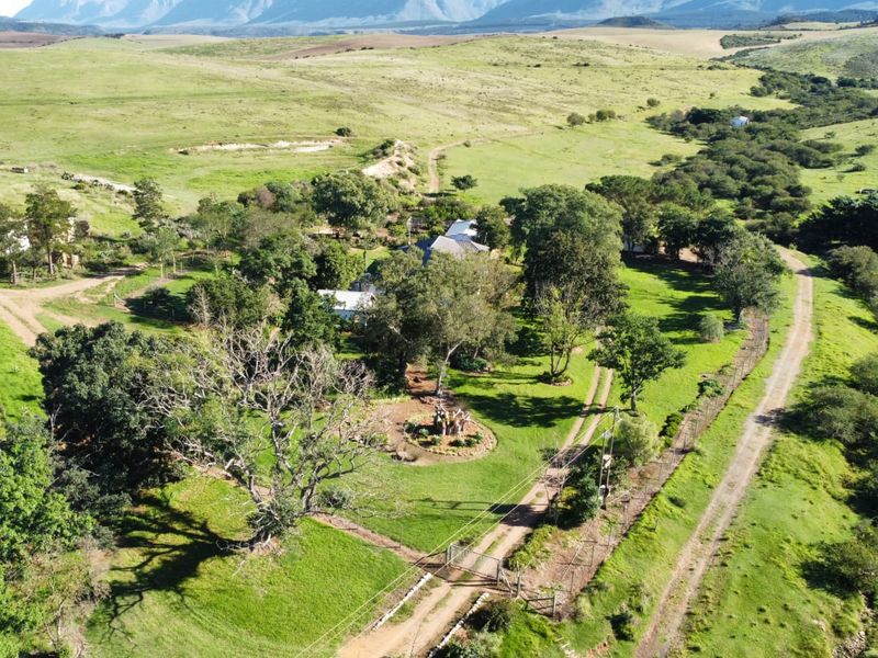 Farm for sale in Riversdale Rural - Photo 4