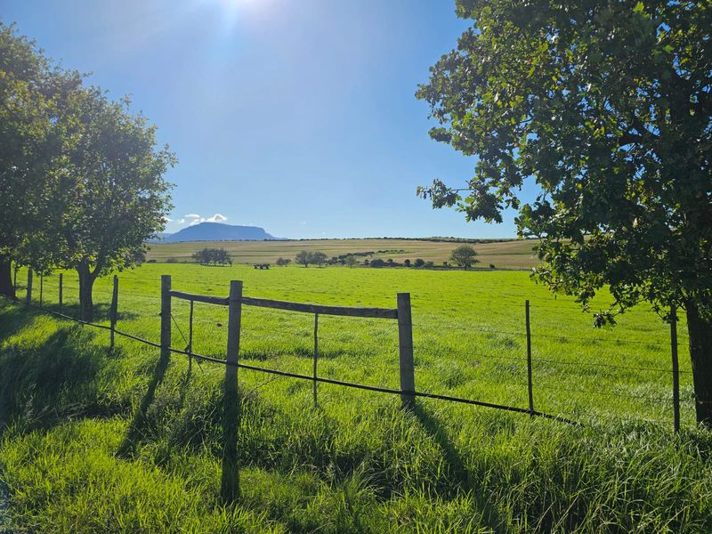 Farm for sale in Riversdale Rural - Photo 5