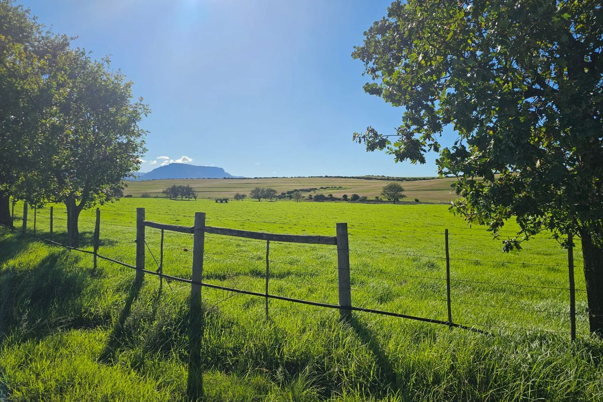 Farm for sale in Riversdale Rural - Photo 5