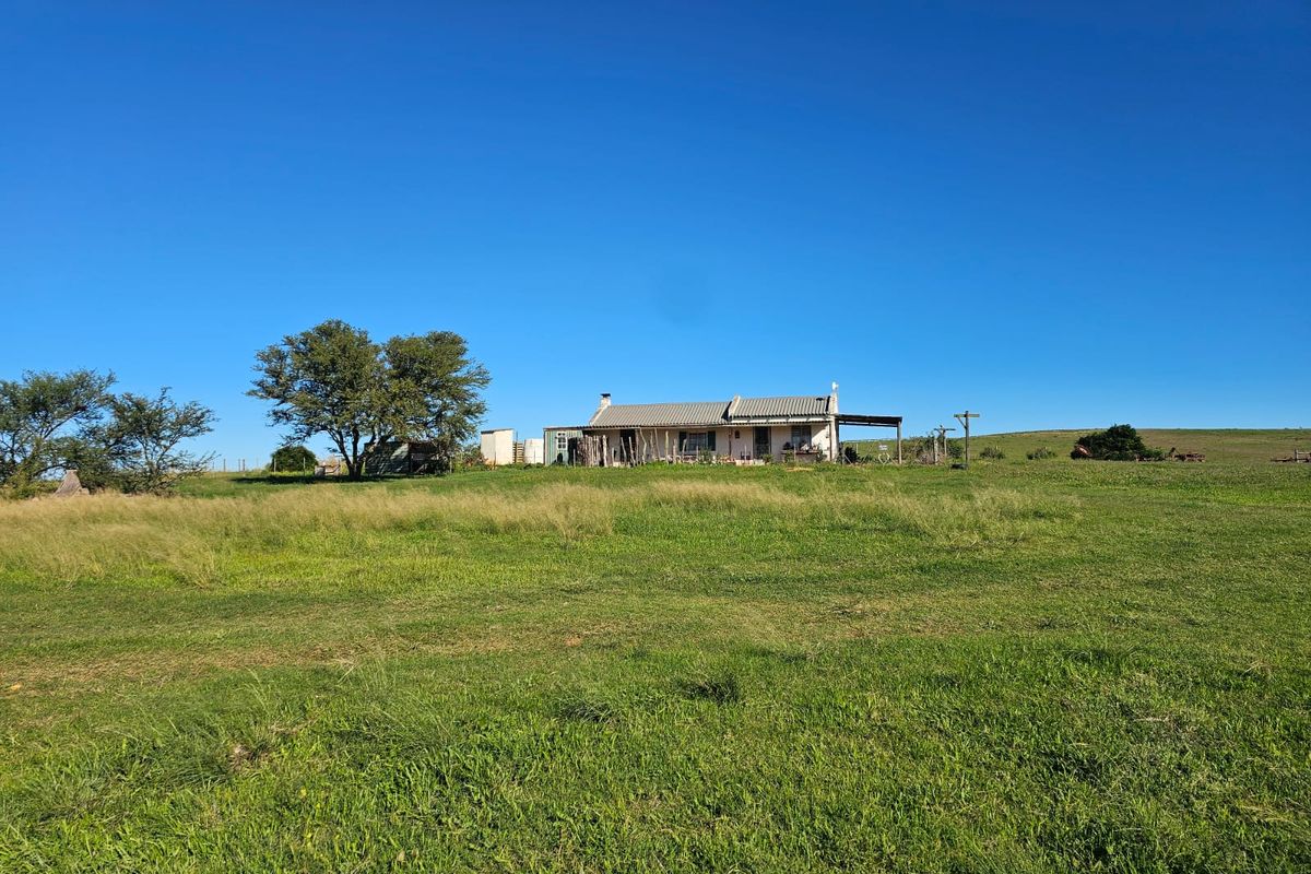 A distant view of a rural farm cottage set within a large, open grassy landscape under a clear blue sky.