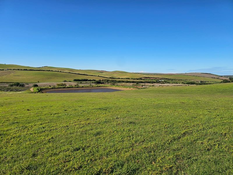 Farm for sale in Riversdale Rural - Photo 7