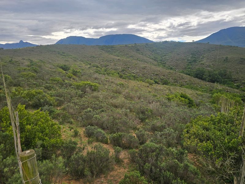 Farm for sale in Riversdale Rural - Photo 10