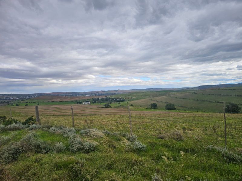 Farm for sale in Riversdale Rural - Photo 9
