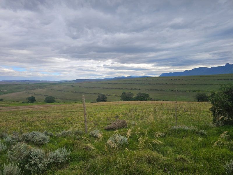 Farm for sale in Riversdale Rural - Photo 8