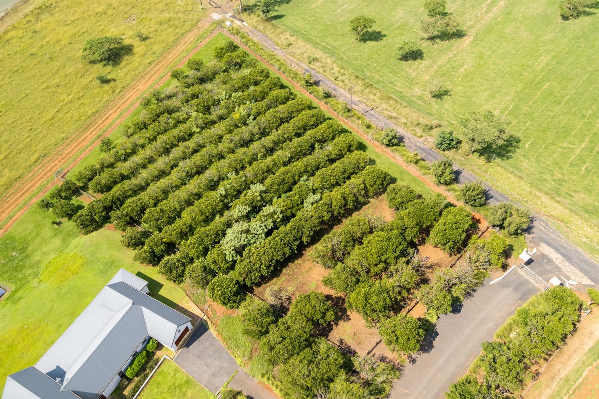 Exclusive Dam-Facing Vacant Land in Orangewood Estate Albert Falls - Photo 5