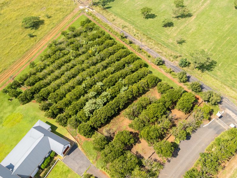 Exclusive Dam-Facing Vacant Land in Orangewood Estate Albert Falls - Photo 5