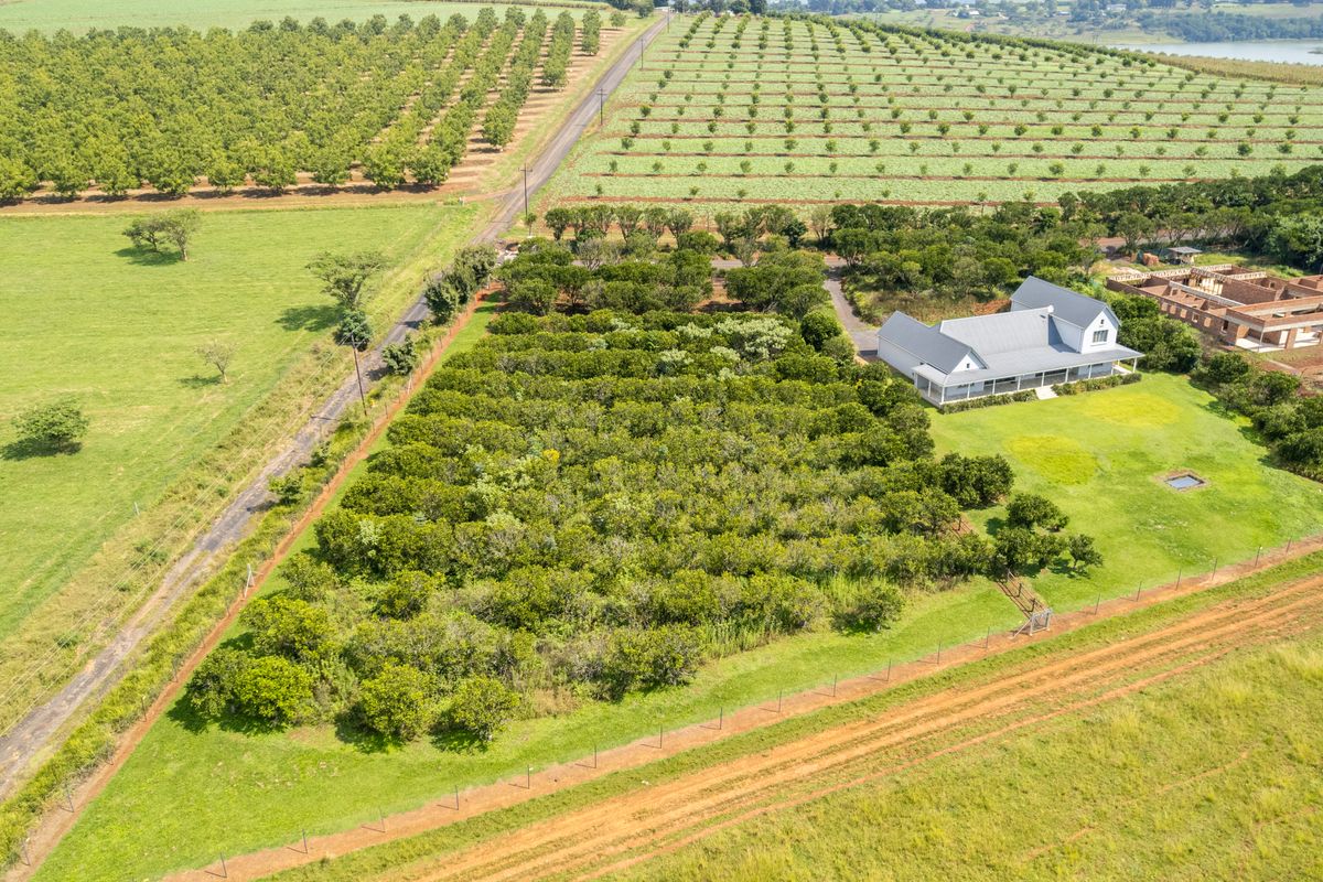 Exclusive Dam-Facing Vacant Land in Orangewood Estate Albert Falls - Photo 4