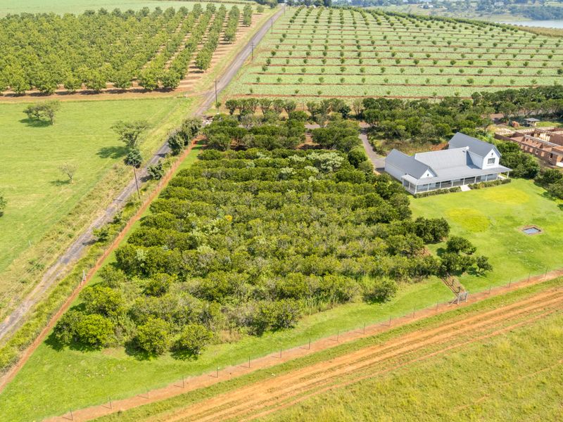 Exclusive Dam-Facing Vacant Land in Orangewood Estate Albert Falls - Photo 4