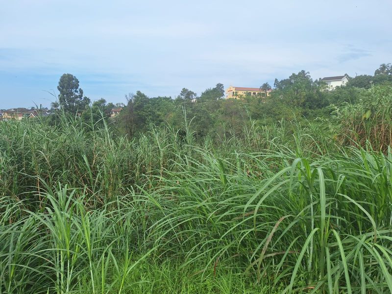 Prime Residential Land Opportunity in Belfort – 665m2 - Photo 5