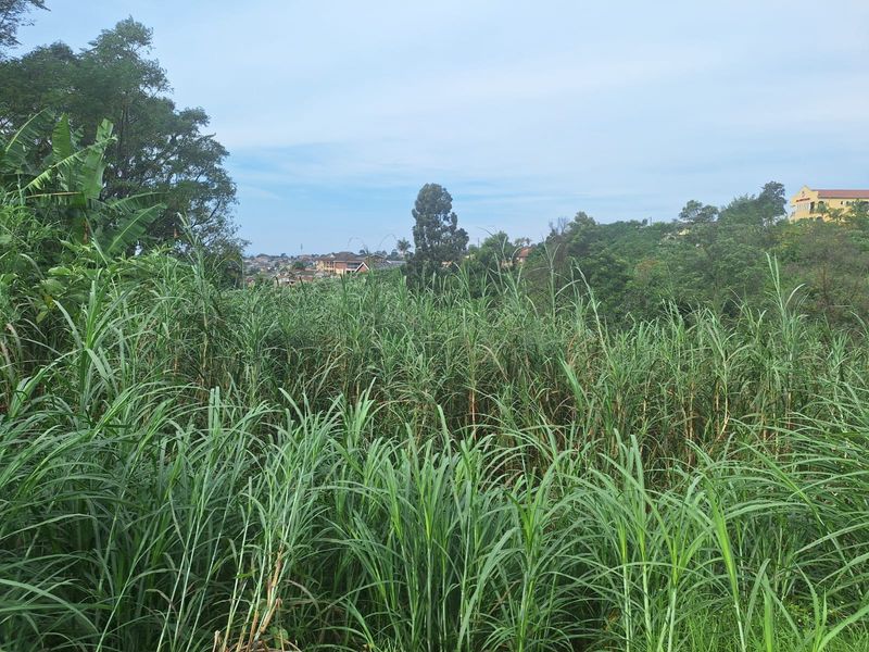 Prime Residential Land Opportunity in Belfort – 665m2 - Photo 7