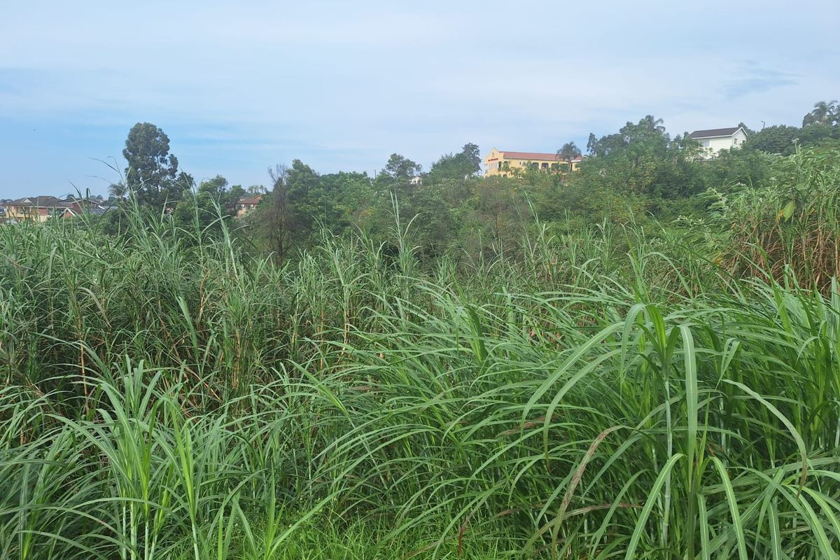 Prime Residential Land Opportunity in Belfort – 665m2 - Photo 5