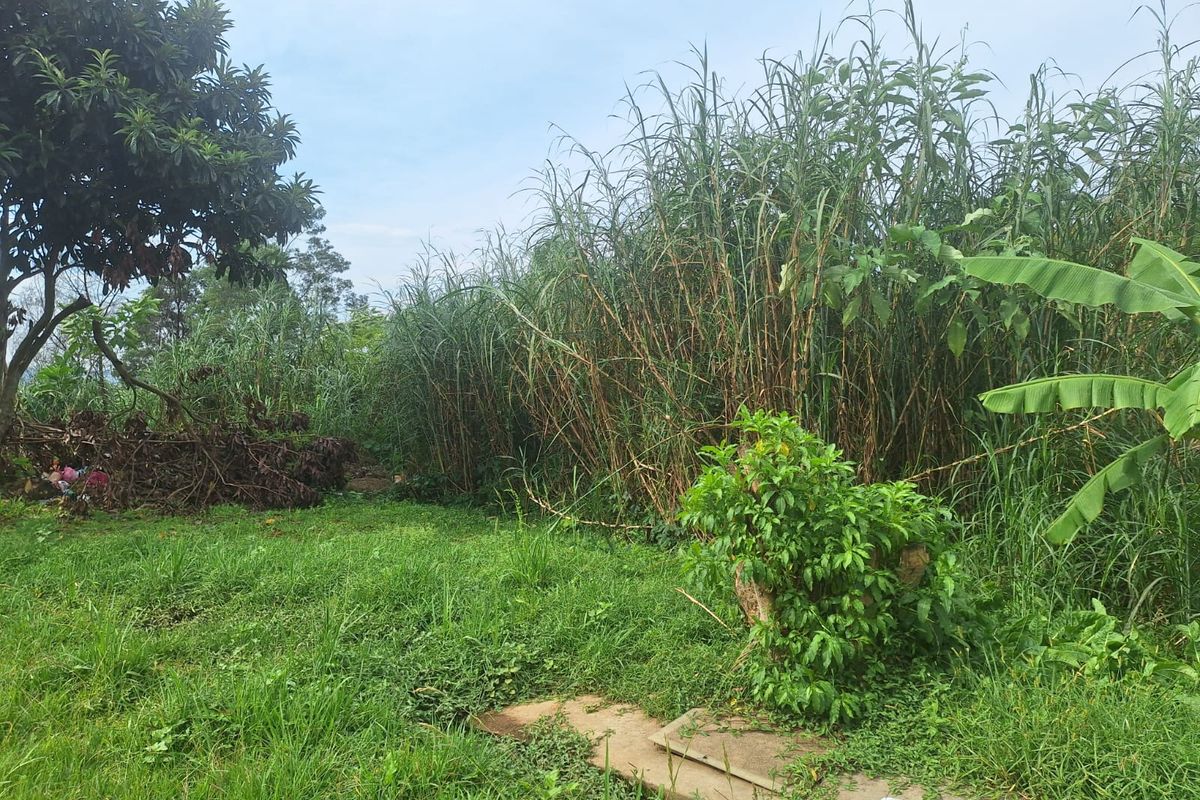 Prime Residential Land Opportunity in Belfort – 665m2 - Photo 2