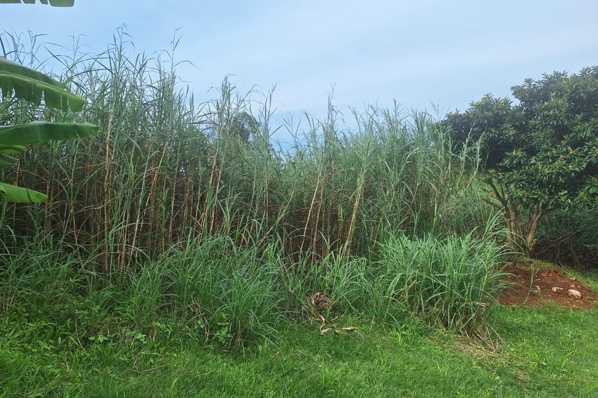 743m2 Vacant Land in Belfort – Endless Possibilities - Photo 3