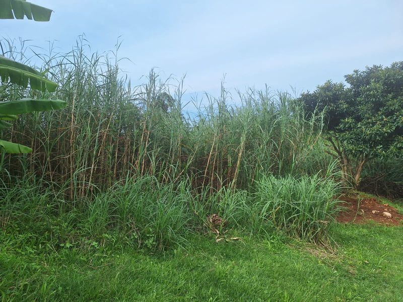 743m2 Vacant Land in Belfort – Endless Possibilities - Photo 3