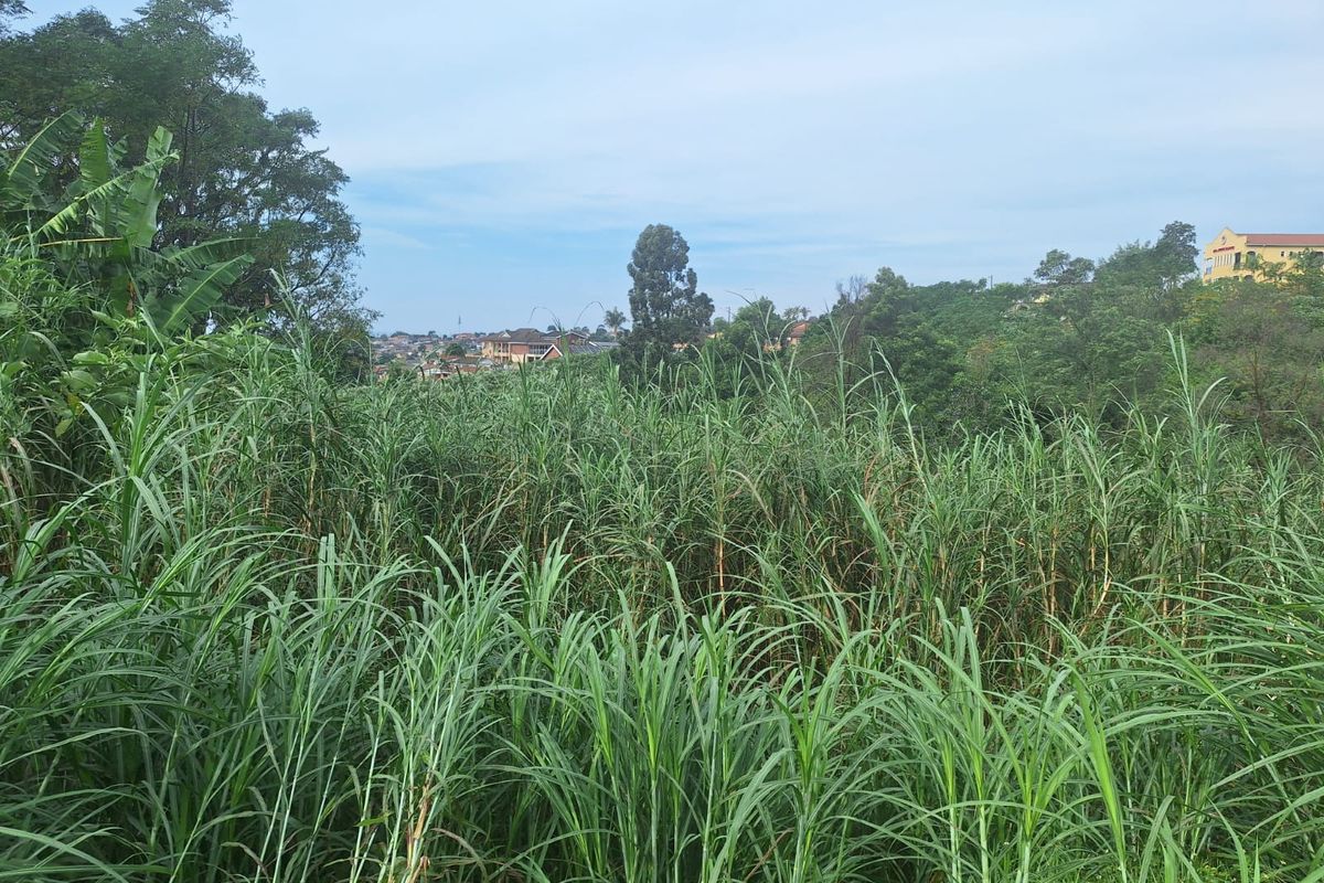 743m2 Vacant Land in Belfort – Endless Possibilities - Photo 5