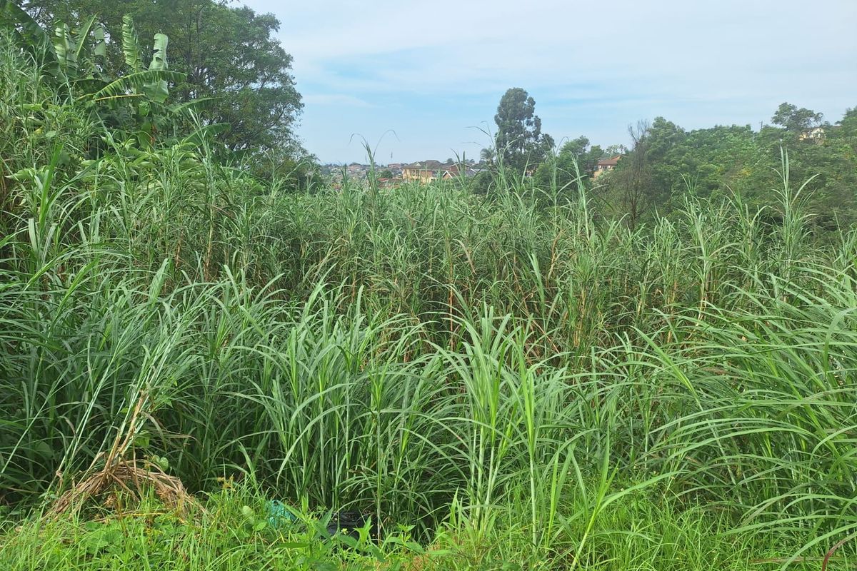 743m2 Vacant Land in Belfort – Endless Possibilities - Photo 2