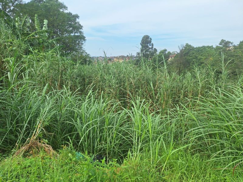 743m2 Vacant Land in Belfort – Endless Possibilities - Photo 2