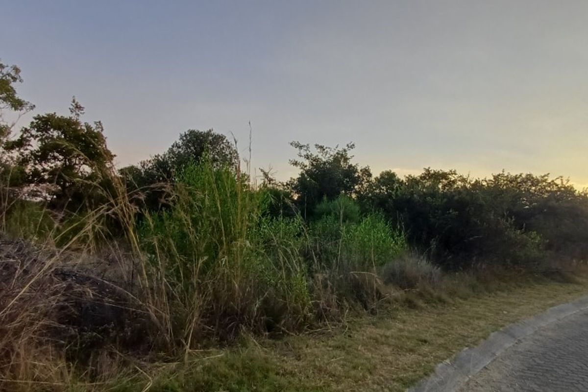 A view of the street frontage showing the paved road, kerb, and natural vegetation on the vacant residential land.
