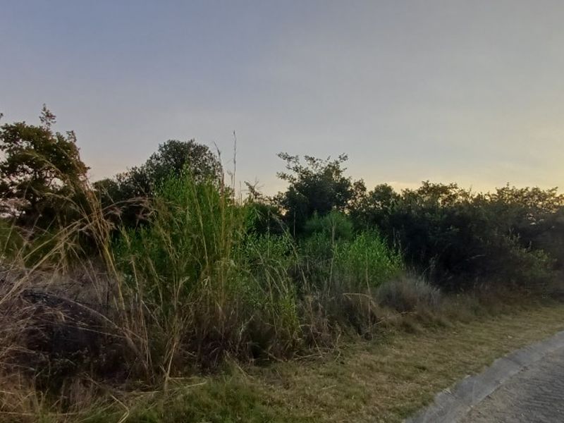A view of the street frontage showing the paved road, kerb, and natural vegetation on the vacant residential land.