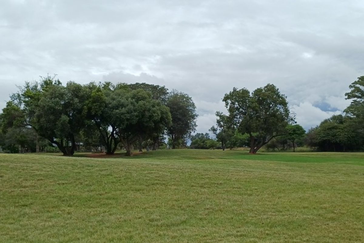 A scenic view of an open, grassy residential plot featuring mature trees under a cloudy sky.