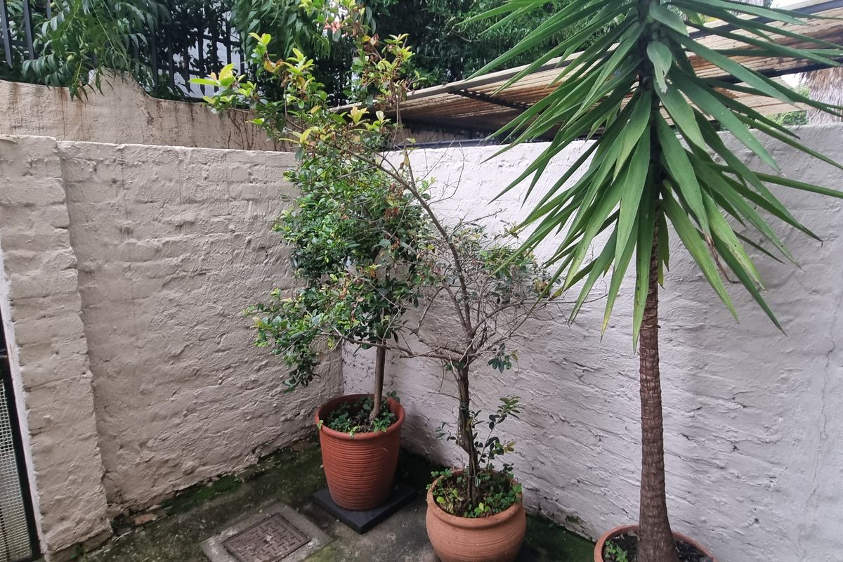 A small rear courtyard area featuring masonry boundary walls, a metal security gate, and concrete paving with drainage access.