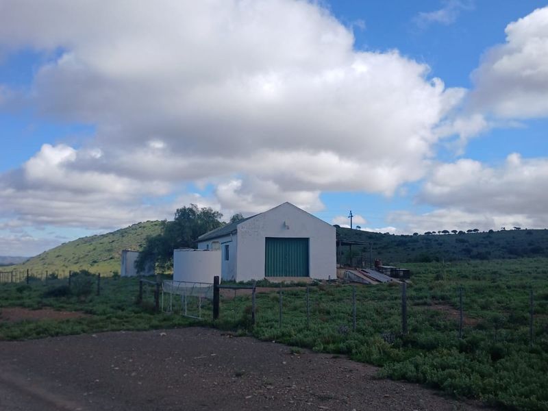 605Ha Karoo Charm & Farming Potential in the Coxcombs - Photo 9