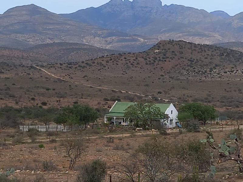 605Ha Karoo Charm & Farming Potential in the Coxcombs - Photo 8