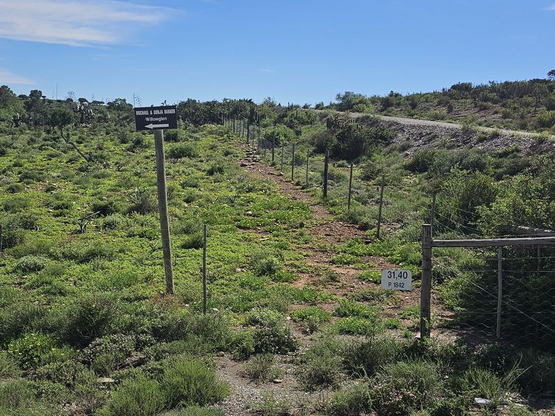 605Ha Karoo Charm & Farming Potential in the Coxcombs - Photo 7