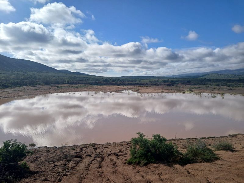 605Ha Karoo Charm & Farming Potential in the Coxcombs - Photo 2